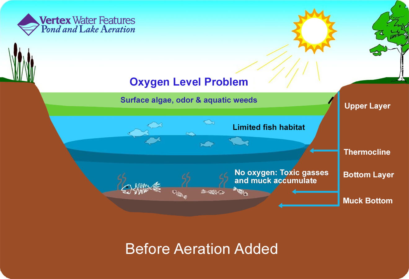 Lake Water Temperature Chart